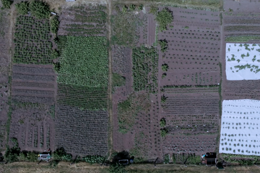 VAULT (still image), 2019. In collaboration with Sofifia Pia Belenky, Don Toromanoff and Ksenia Trofifimova at the Strelka Institute for media architecture and design